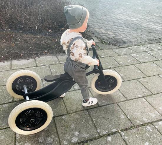 Babykleding - Lenn lion hoodie leeuw wit 