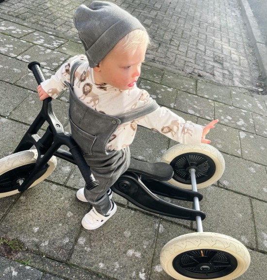 Babykleding - Lenn lion hoodie leeuw wit 