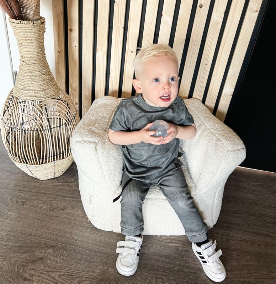 Babykleding - Lenn lion logo grey t-shirt 