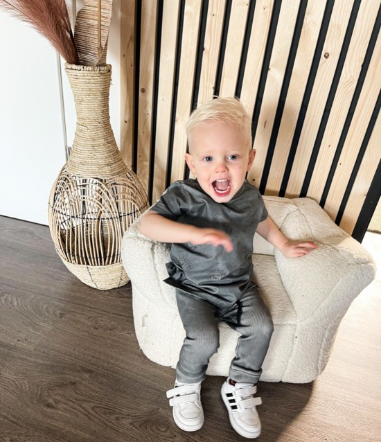 Babykleding - Lenn lion logo grey t-shirt 