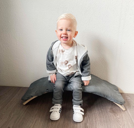 Babykleding - Lenn lion broek grey wafel 