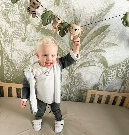 Babykleding - Lenn lion broek logo grey