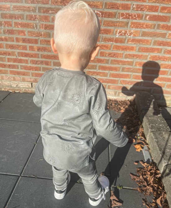 Babykleding - Lenn lion longsleeve leeuw logo grey