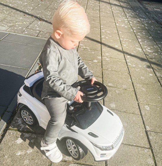 Babykleding - Lenn lion longsleeve leeuw logo grey